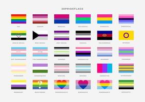 Conjunto de banderas de orgullo de identidad. mes del orgullo. bandera de gays, transgénero, bisexuales, lesbianas, etc. vector