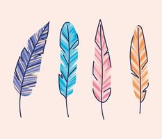 bundle of feather of different colors vector