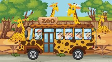 Escena de safari con muchas jirafas y niños en autobús turístico. vector