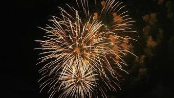 fuochi d'artificio colorati nel cielo scuro, colpo grosso 4k video