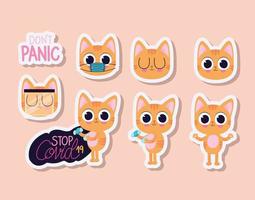 bundle of cute kittys stickers on a light orange background vector