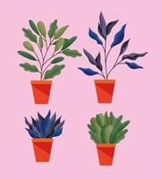 set of plant with leaves in a pot vector