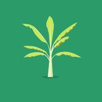 Banana tree vector with green background.Tree object flat style