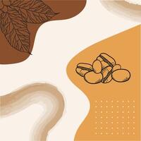 coffee beans and leaves poster paper vector design