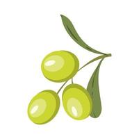 Fresh ripe olives are yellowish green in color 29287789 Stock Photo at  Vecteezy