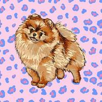 Ilustración vectorial colorida de la raza de perro pomerania aislado sobre fondo blanco. vector