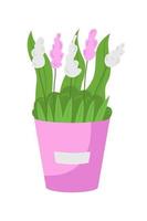 White, pink flowers in bucket semi flat color vector object