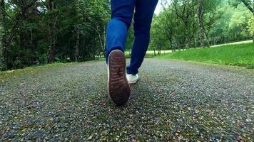 close-up das pernas do viajante feminino, caminhando na estrada de asfalto entre a natureza ao redor.
