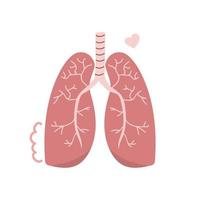 dibujado a mano pulmones humanos lindo plano moderno ilustración concepto de órgano interno vector