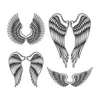 Spreading Wing Collection In Black And White vector