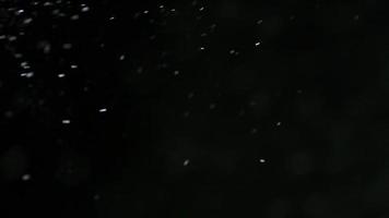 flocos de neve brancos agitando video