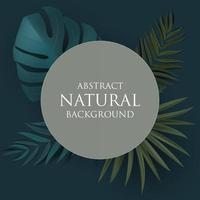 Abstract Natural Background with Tropical Palm and Monstera Leaves vector