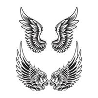 Spreading Wings Collection On White vector