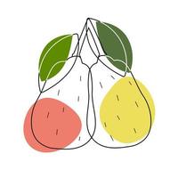 Stylized illustration of pear style flat design vector