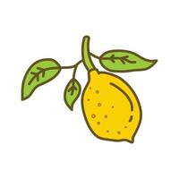 Lemon Fruit Design Template Vector Flat