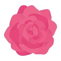 flor rosa rosa naturaleza vector icono aislado