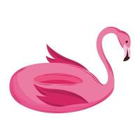 flamingo float isolated vector