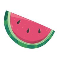 slice watermelon fruit vector