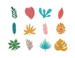 hoja tropical deja follaje naturaleza decoración conjunto de iconos diseño plano vector