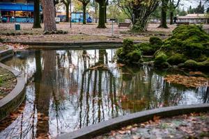 reflexiones sobre la fuente foto