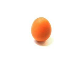 un huevo amarillo aislado en un fondo blanco. imagen para cocinar, comida, catering, materiales dietéticos. foto