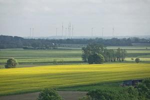 Beautiful countryside landscape near Kiel, Schleswig Holstein, Germany photo