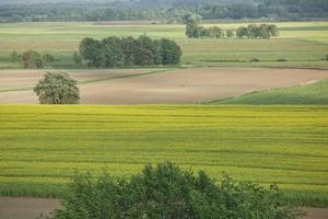 Beautiful countryside and sunrays near Kiel, Schleswig Holstein, Germany photo