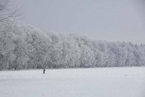 paisaje de invierno con nieve y niebla foto