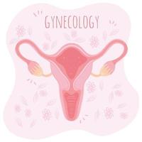 ginecología icono de órganos reproductivos femeninos vector