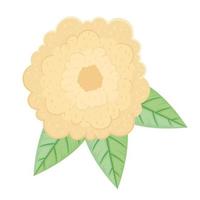 cute cream color petals flower and leafs spring icon vector illustration design