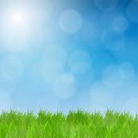 Green Grass Field and Blue Sky Natural Background. Vector Illustration