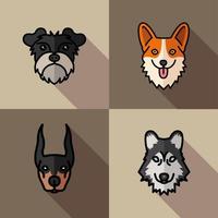 cuatro perros mascotas mascotas personajes de raza vector
