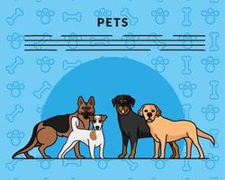 four dogs pets mascots breed characters and letterings vector