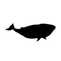 diseño de vector animal ballena aislada