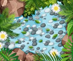 Aerial forest scene with stones in the pond vector