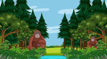 orangután en el bosque o la escena de la selva tropical con muchos árboles vector