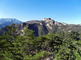 Beautiful mountains Seoraksan and coniferous forest. South Korea photo