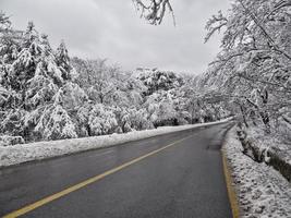 Snow-covered forest road in mountains. Seoraksan National Park. South Korea photo