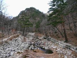 río de las montañas en el parque nacional de seoraksan. Corea del Sur foto