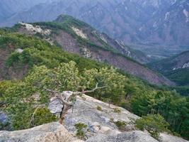 la vista a las hermosas montañas desde el pico alto. parque nacional de seoraksan. Corea del Sur