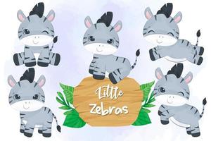 Cute little zebras collection in watercolor vector