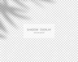 Shadow overlay effect. Natural shadows isolated on transparent background. Vector illustration.