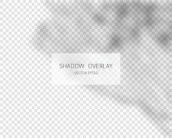 Shadow overlay effect. Natural shadows isolated on transparent background. Vector illustration.