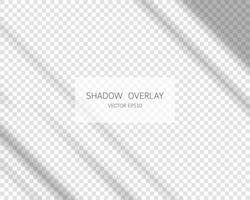 Shadow overlay effect. Natural shadows from window isolated on transparent background. Vector illustration.