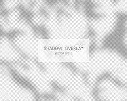 Shadow overlay effect. Natural shadows isolated on transparent background. Vector illustration.