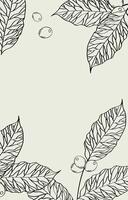 coffee beans with leaves poster vector design