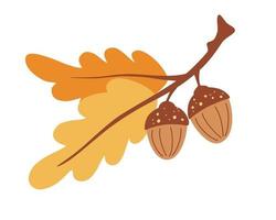 Branch with leaves and acorns. Oak. Autumn time. Forest object. Harvest time. Flat cartoon colorful vector illustration.