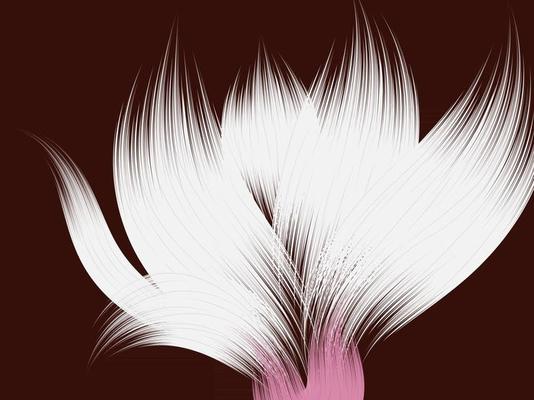 Flower Abstract Wallpaper