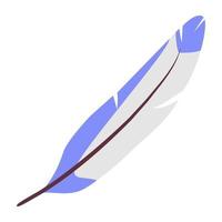 pluma de pájaro de colores vector