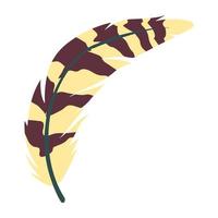 colorful Bird Feather vector